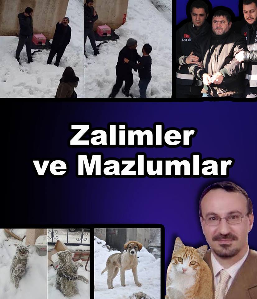 İnsan olmaktan utandığım durumlar