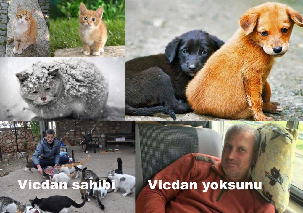 İki Muhtar, iki suret, iki farklı tür…