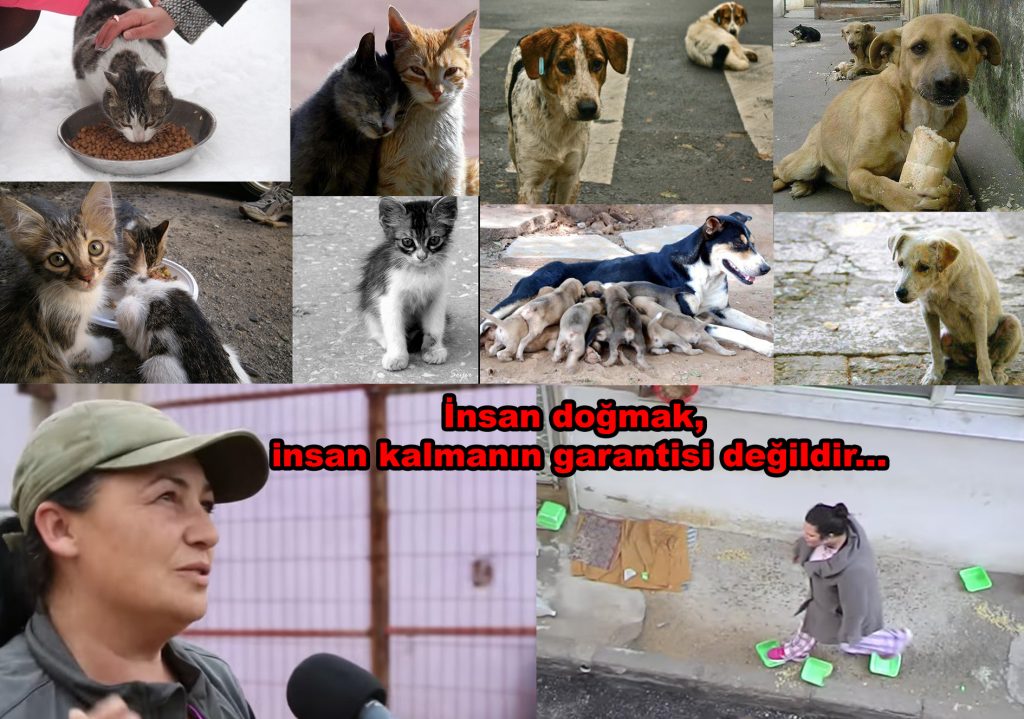 Devrimcilik de, demokratlık da, ilericilik de, insanlık da, dindarlık da aslında vicdan demektir…