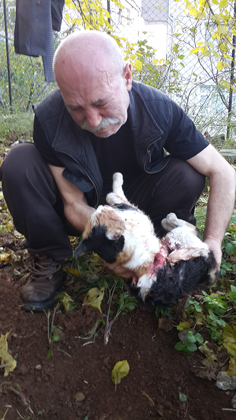 Hayat; acılar, hüzünler, sevinçler ve mutluluklar karmaşasıdır 