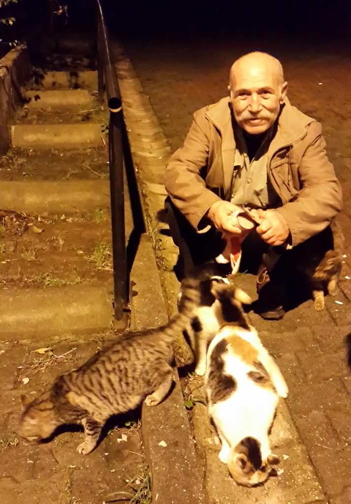 Sevmek, acılara katlanmayı baştan, gönüllü kabullenmektir