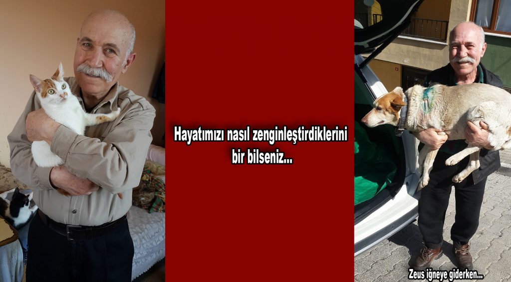 Gerçek anlamda İnsan demek, vicdan demektir…