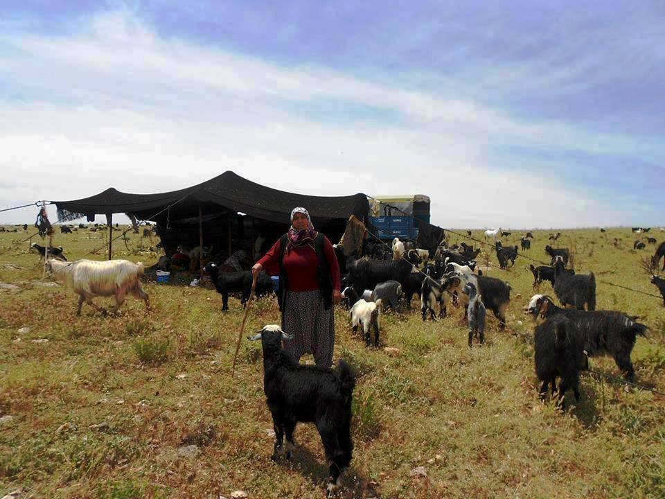 HKP, AKP’giller’in vurgun ve talanlarının peşini bırakmıyor!