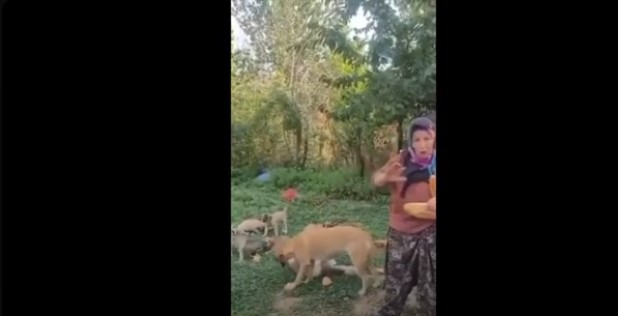 Potamyalı Yezid! Bu Patili Canların masum kanı boğacak seni ve Ubeydullah bin Ziyad’larını!