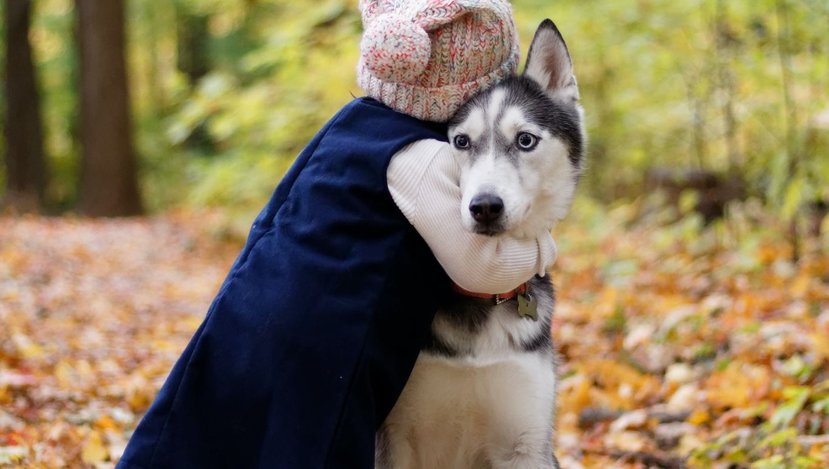 Yüreğimizdeki Engin Sevgimizle Sesleniyoruz: Gelin Tüm Varlıkların Özgür Olduğu Bir Dünya İçin Devrimci Mücadelemizde Birleşelim.