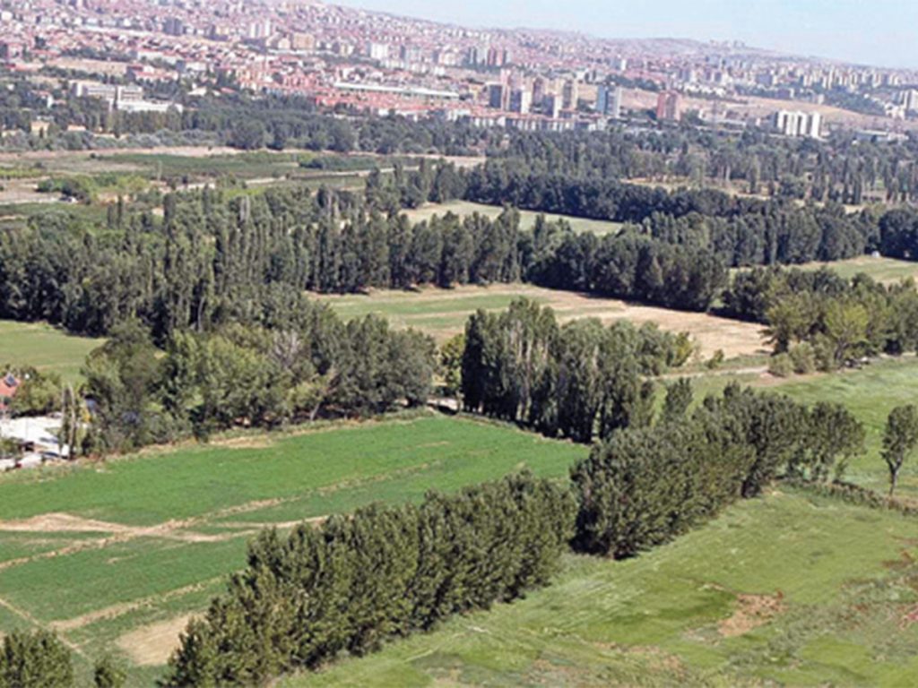 AKP’giller ve Reisleri Tayyip, Mustafa Kemal’in Mirası  Atatürk Orman Çiftliği’ni yağmaladı, özünden kopardı.