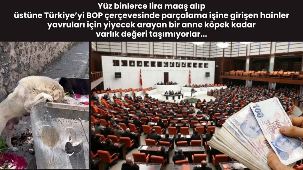 Bu hainler yavruları için yiyecek arayan bir anne köpek kadar varlık değeri taşımıyorlar…