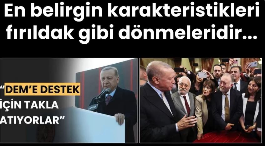 En belirgin karakteristikleri fırıldak gibi dönmeleridir…