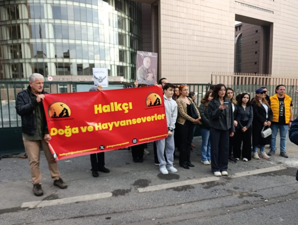 Örgütlü Davranış Sonuç Aldı:  Bakırköy Cumhuriyet Başsavcılığı, Adliye ve Çevresini  Evleri Belleyen Kedicanlarımızı Toplatma Kararından Vazgeçti!