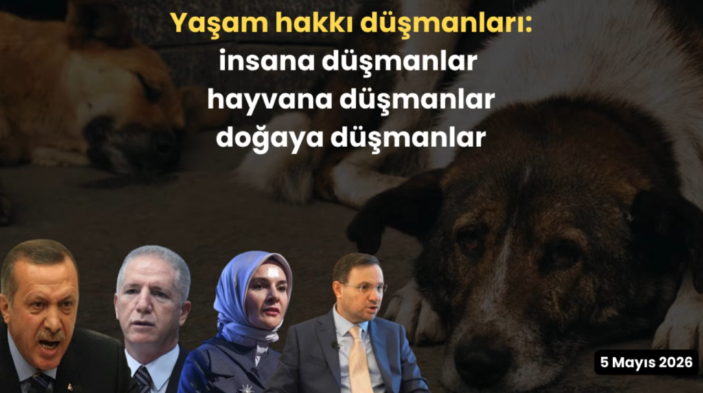Yaşam hakkı düşmanları: İnsana düşmanlar, hayvana düşmanlar, doğaya düşmanlar