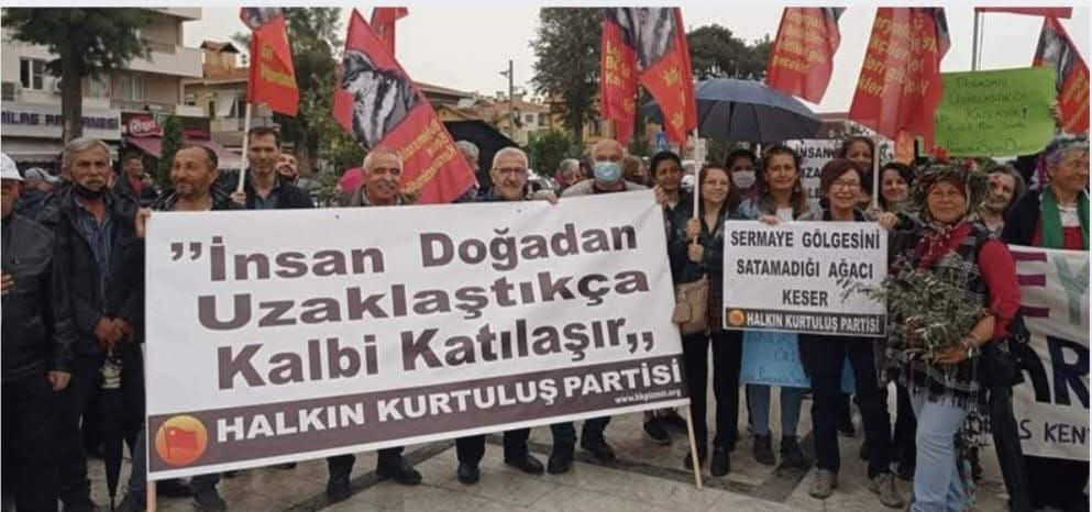 Yine Bir 5 Haziran, Yine Dünya Çevre Günü…  Ama Çığlık Çığlığa Bir Doğa, Kan Ağlayan Bir Memleket Var Karşımızda!